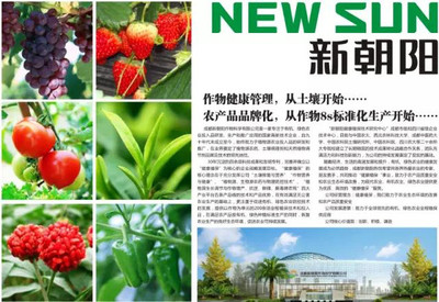 土壤全程管理---全面认识新朝阳GEW水基洁能肥-